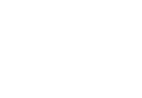 Valencia logo