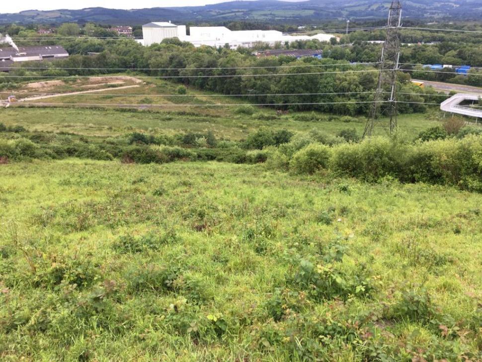 View over Teigngrace Meadow