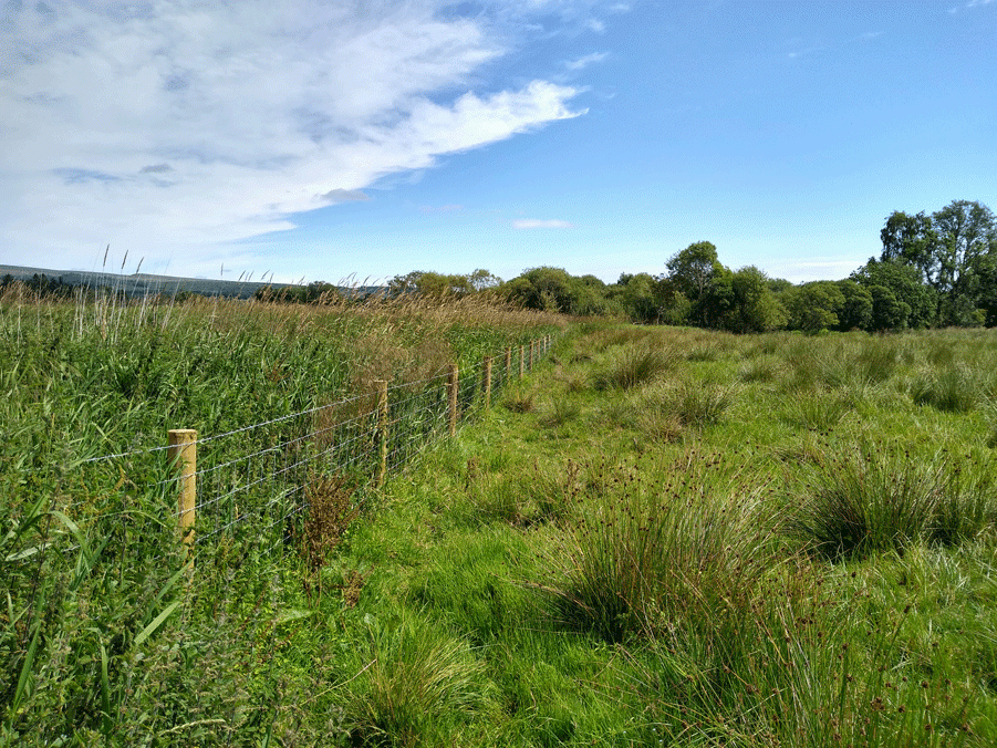 Sunny photo of new stock fencing in a field