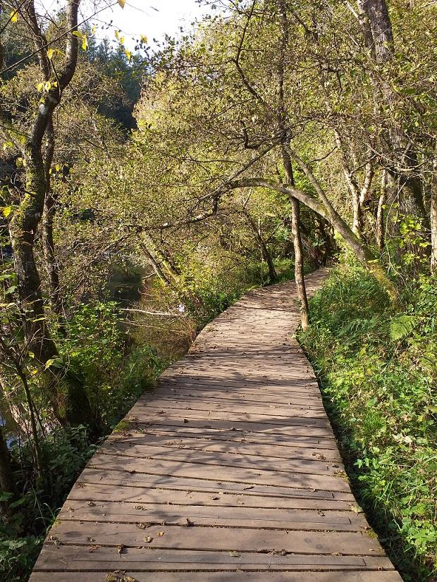 Boardwalk in disrepair