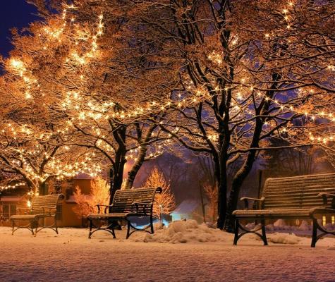 Festive scene with snow, lights and trees