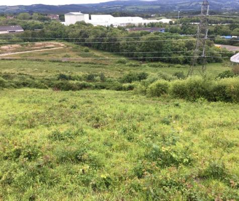 View over Teigngrace Meadow