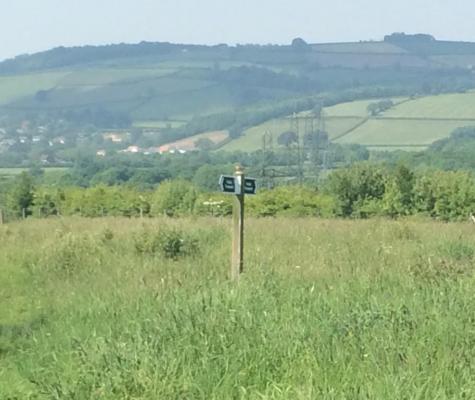 Bird on a sign