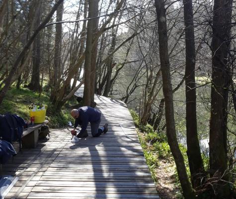 Boardwalk repair in progress