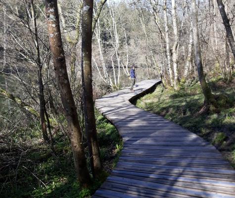 Boardwalk repairs complete