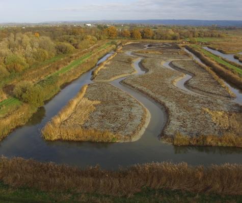 Aerial view of canoe trails