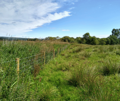 Sunny photo of new stock fencing in a field