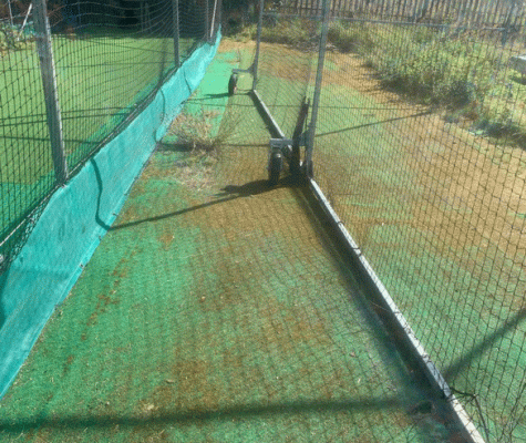 Old, worn carpet in the old batting practise cage