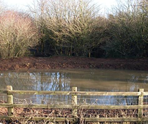 Lake
