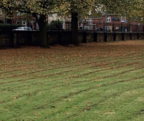 Field