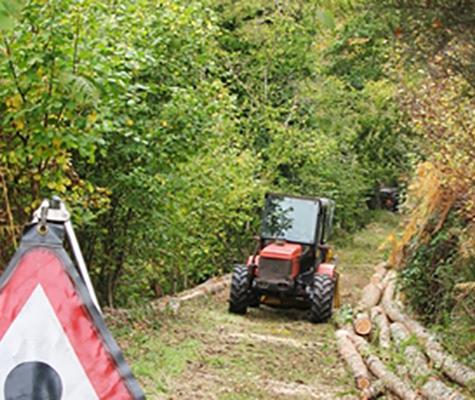 Tractor in woods